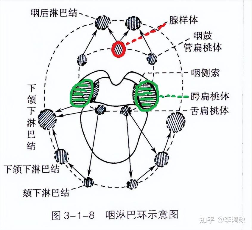 看完这篇文章再做决定吧!