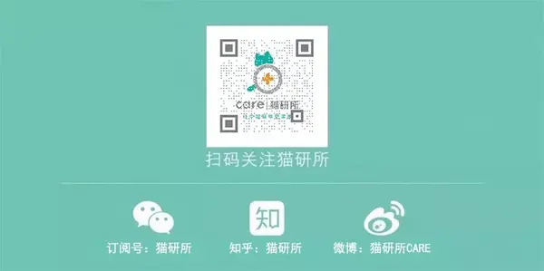 算命的说喵星人吃不出甜味,那我的蛋糕不是白喂了?