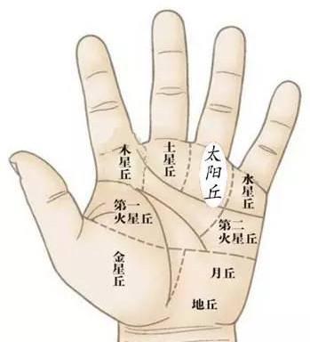 看看你是不是大富大贵的手相 知乎 看看你是不是大富大贵的手相 知乎