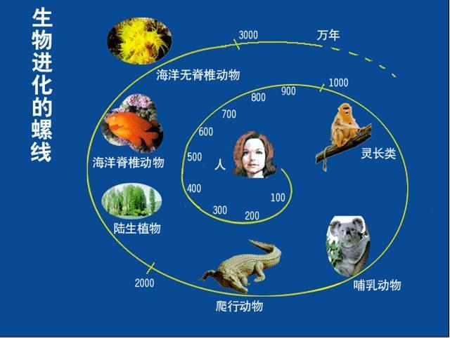 v2-bec412fac385a6dd9630b1f8675710e0_1440w.jpg?source=172ae18b