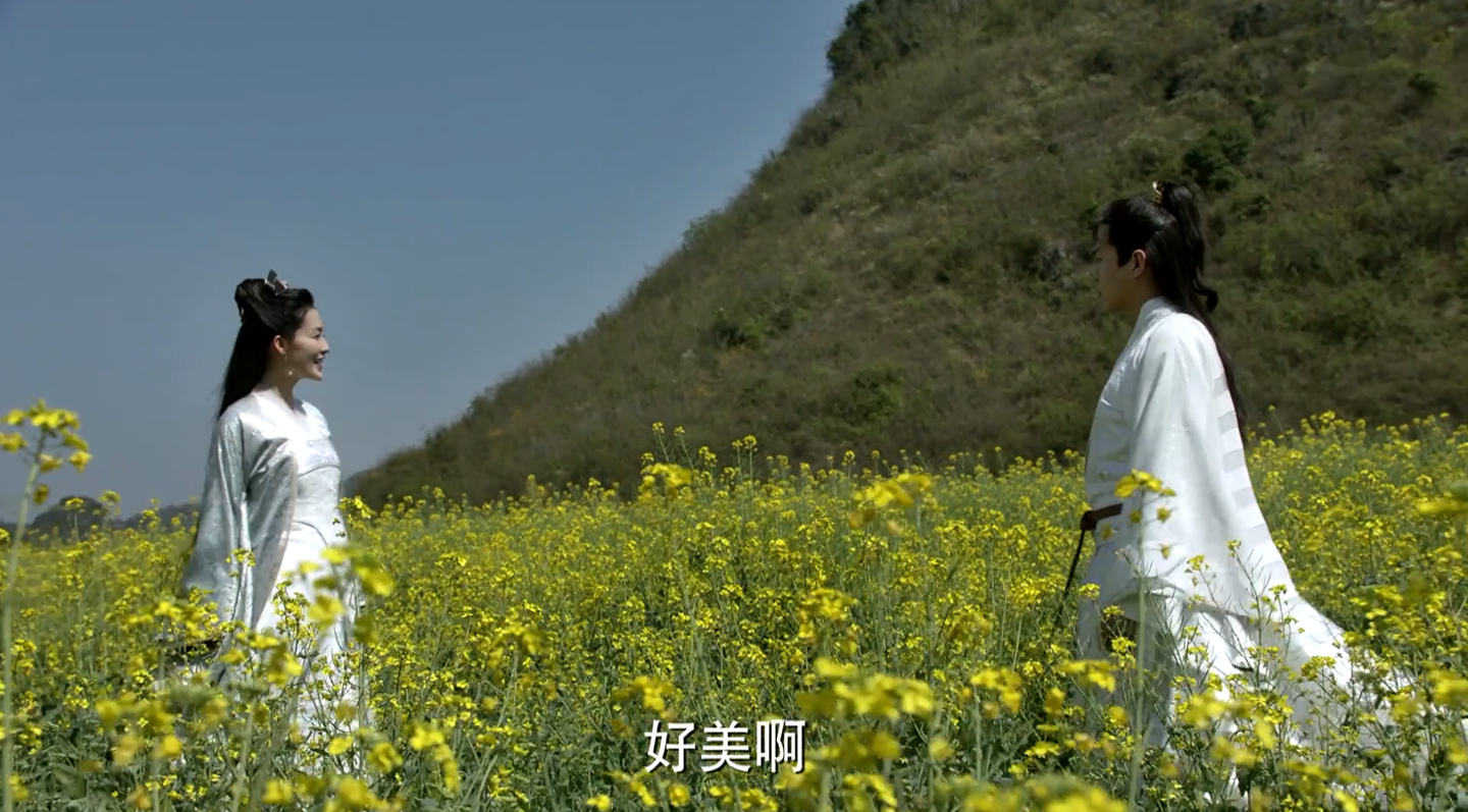 云南罗平 庆余年 最美取景地 早春赏花正当时 知乎 云南罗平 庆余年 最美取景地 早春赏花正当时 知乎