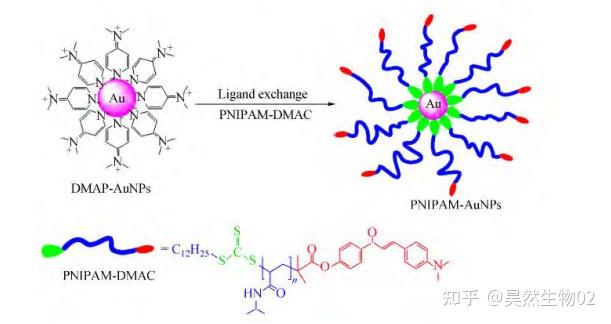 黑色温敏性PNIPAM-AuNPs/CHOL-AuNPs纳米金粒修饰聚合物/蛋白- 知乎