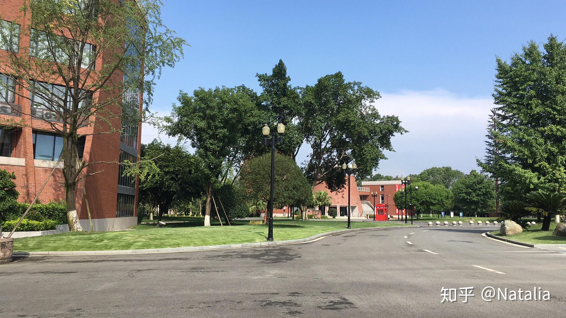 白色那栋楼便是罗兹大学波兰语语言学校最近决心拾起丢掉多年的写作