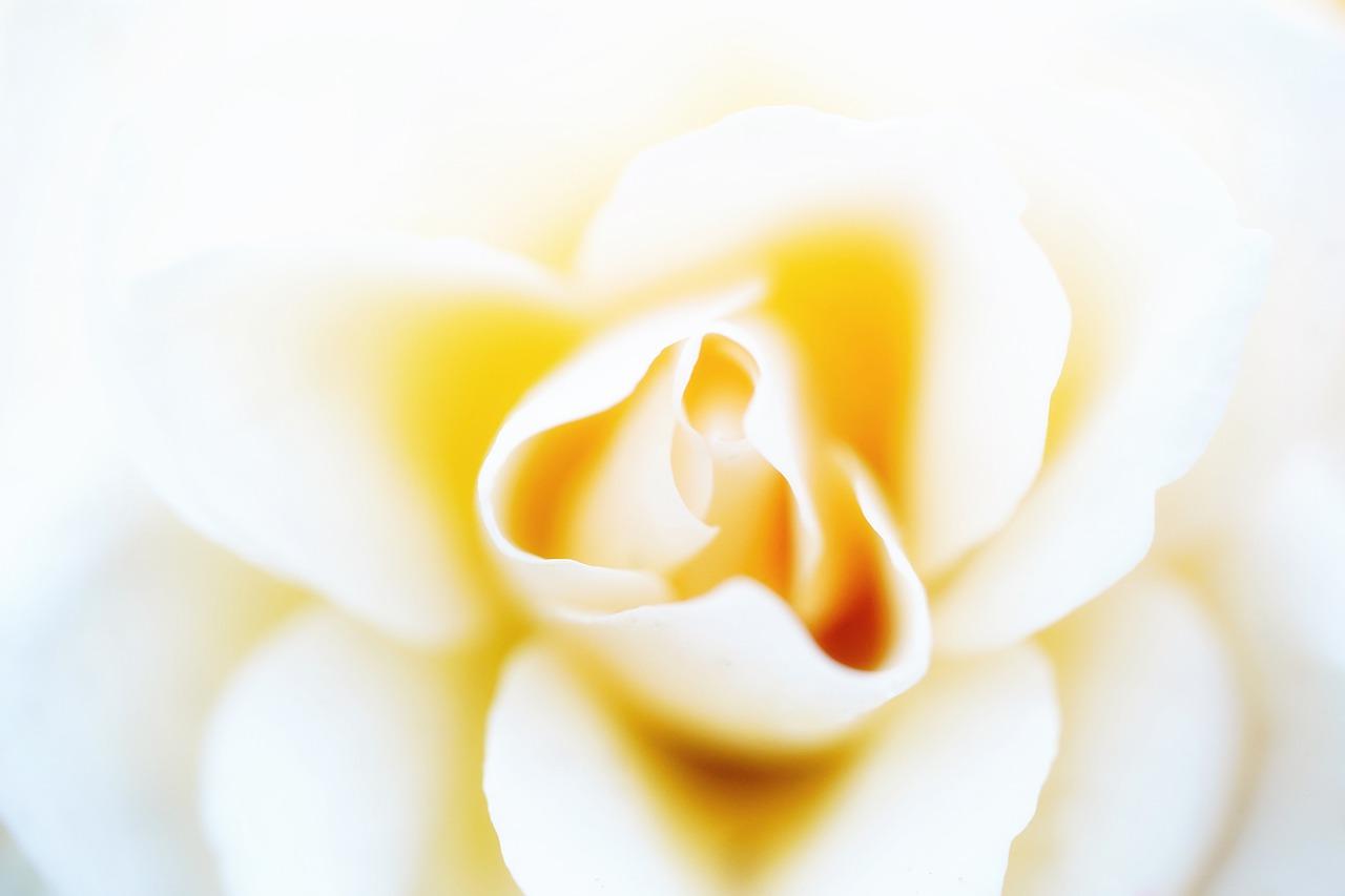 泰安母亲节去哪里玩