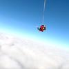 鹰飞跳伞小强