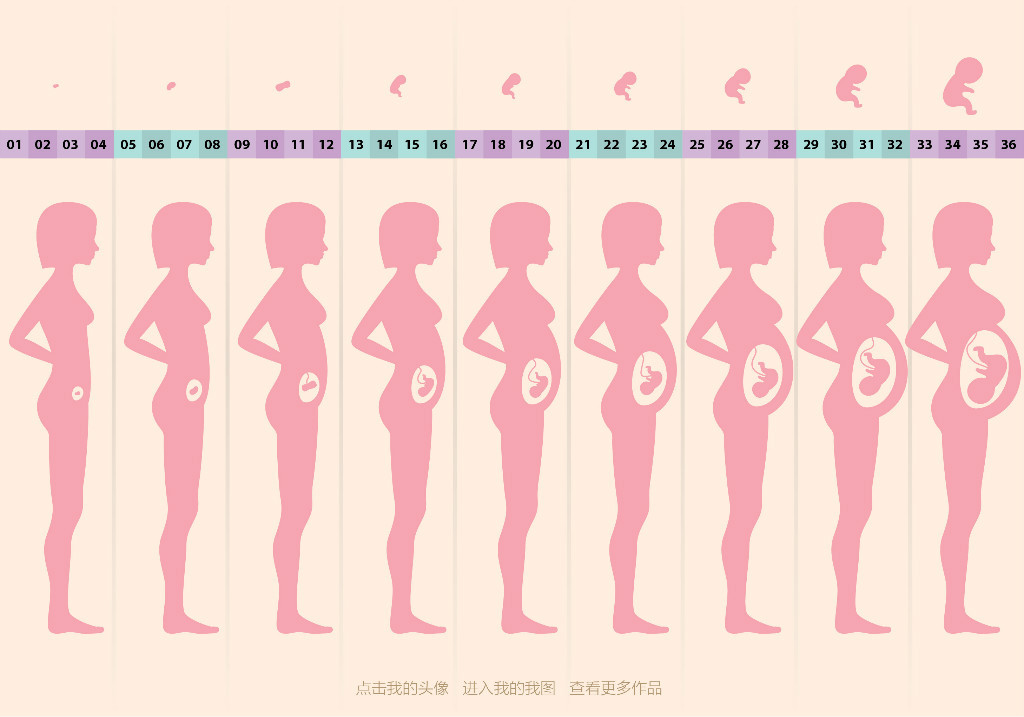 孕期有必要补充DHA吗?什么时候开始补比较好?补多少?怎么补?看这一篇就够了... - 知乎