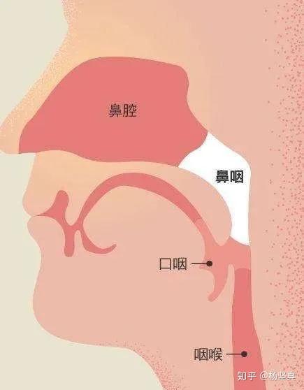 鼻咽癌自查图片