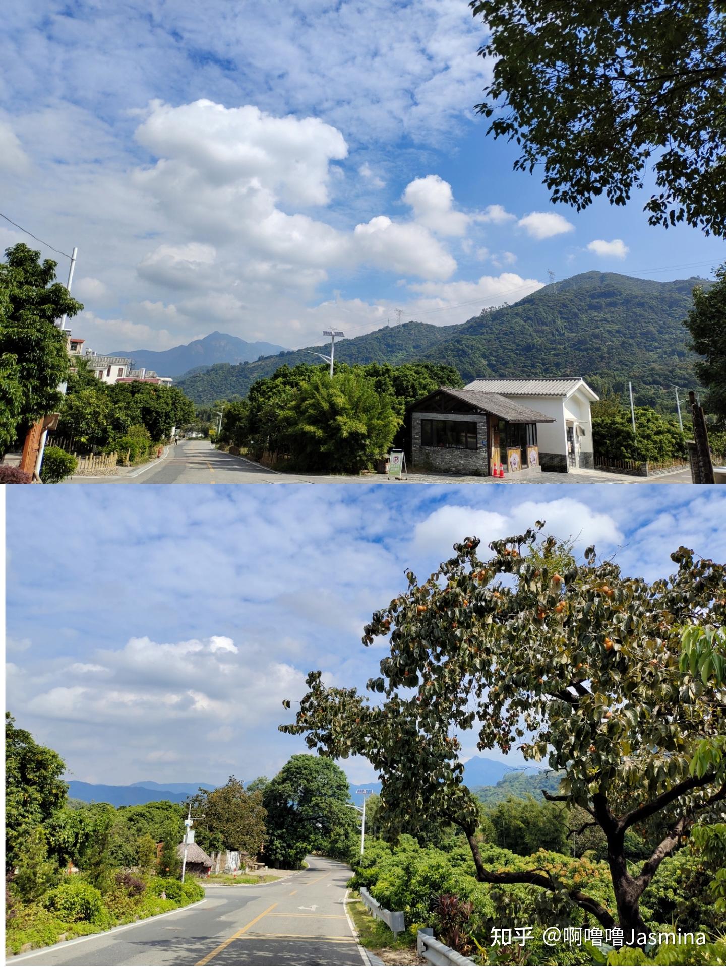 广州周边游｜隐藏在果树竹林里的避世秘境南平小镇 - 知乎