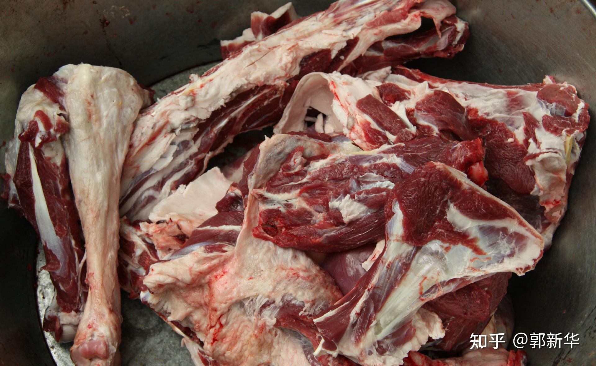 鄂尔多斯东胜区的阿尔巴斯山羊肉 - 知乎