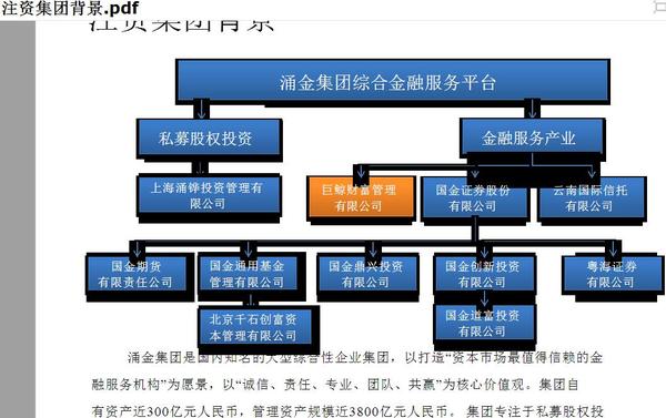 涌金集团是一家怎样的公司?