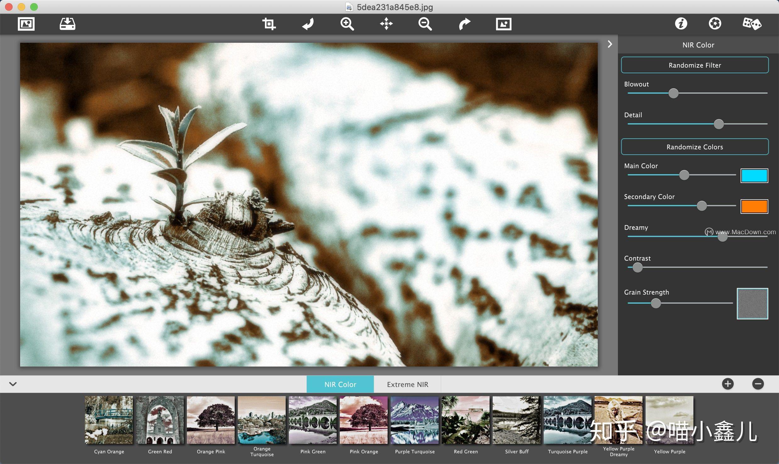 jixipix nir color for mac(照片特效处理软件) 1.25版