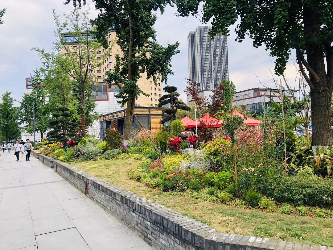 青砖矮墙的仿古景观,百余种错落有致的植物让人在花境中感受千年少城