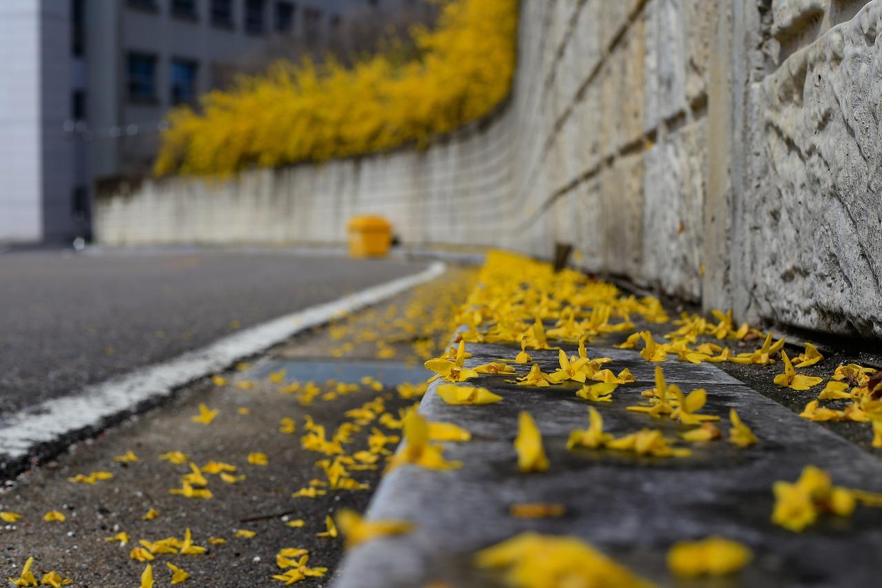 滋养大地新绿意