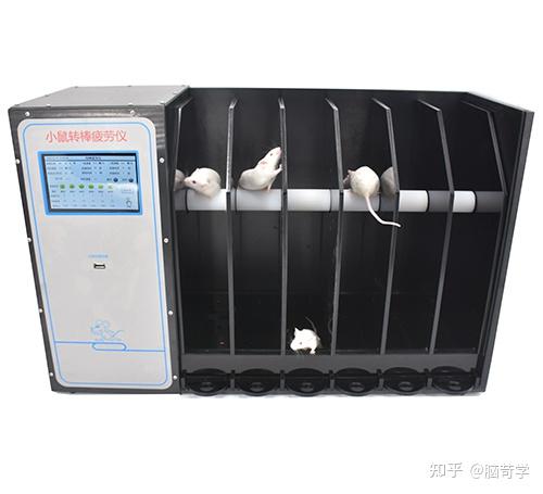 探讨大小鼠转棒疲劳实验（rotarod）检测原理及注意事项 - 知乎