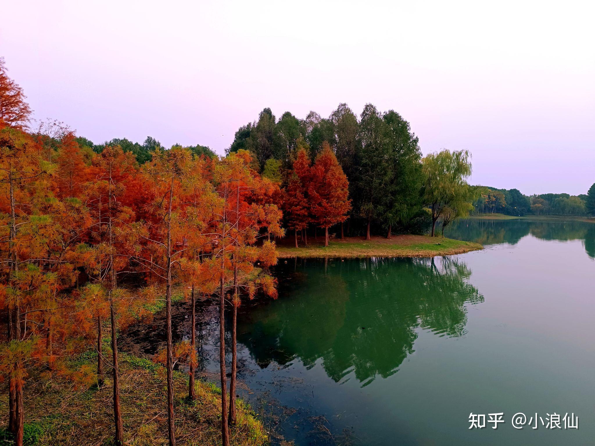 苏州虎丘湿地公园 - 知乎