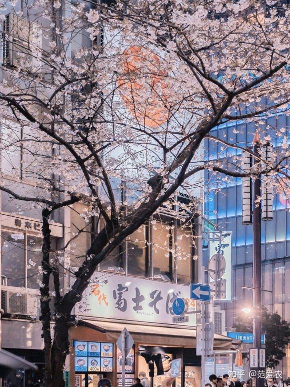 有没有ipadmini5能用的壁纸