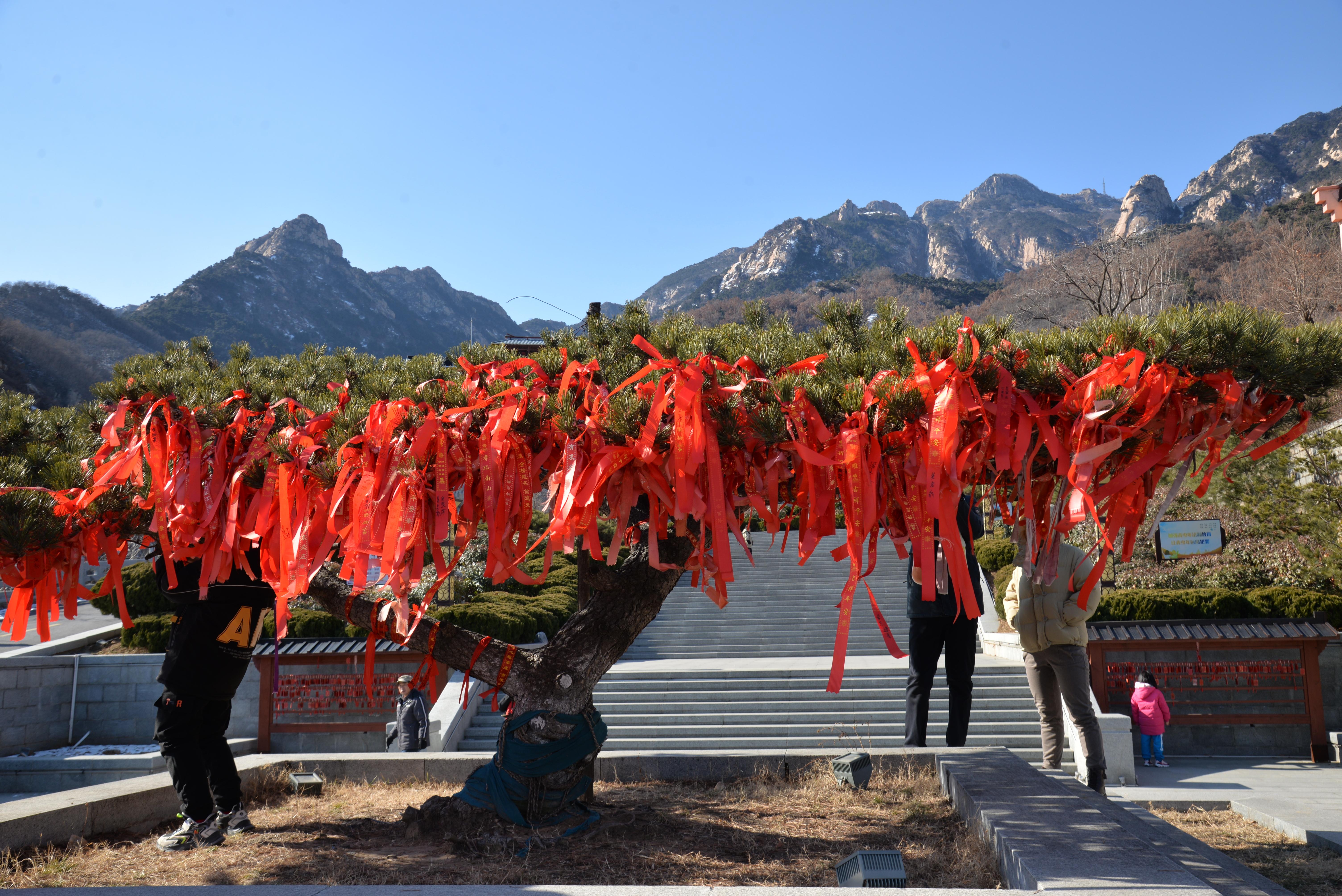 大年初一泰山弥勒佛的生日在天烛峰景区游客享受独特的待遇