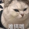 消化不良