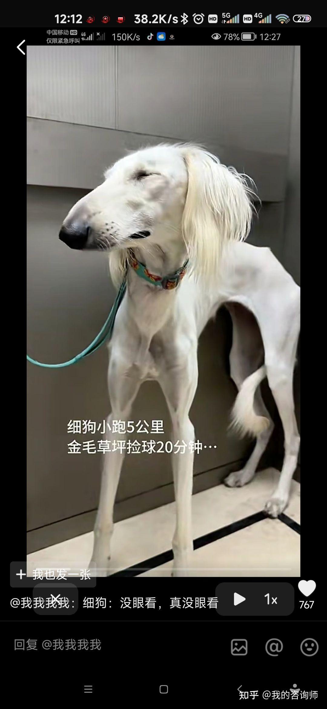 纯享《在水一方》,如冰如汽 - 知乎