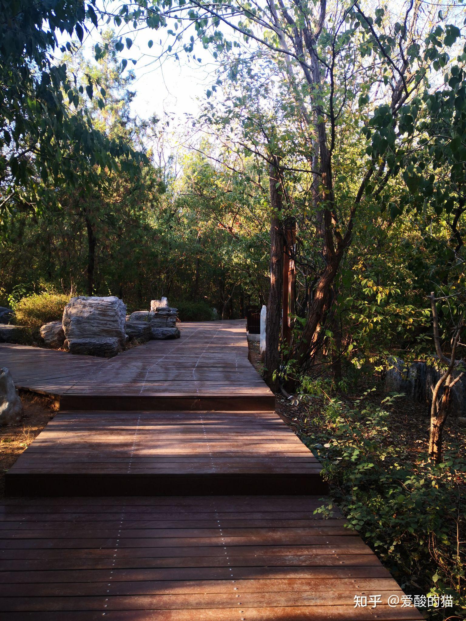 周口店遗址公园 - 知乎