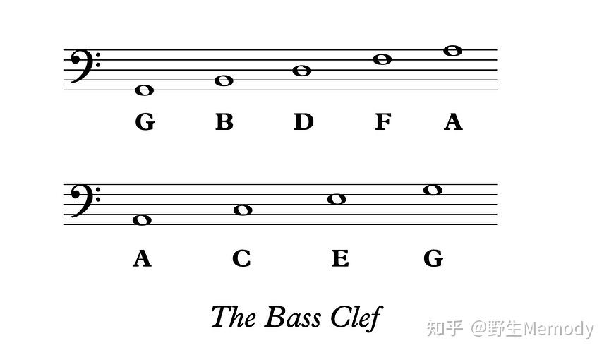 [音乐干货] 如何阅读五线谱？ - 知乎