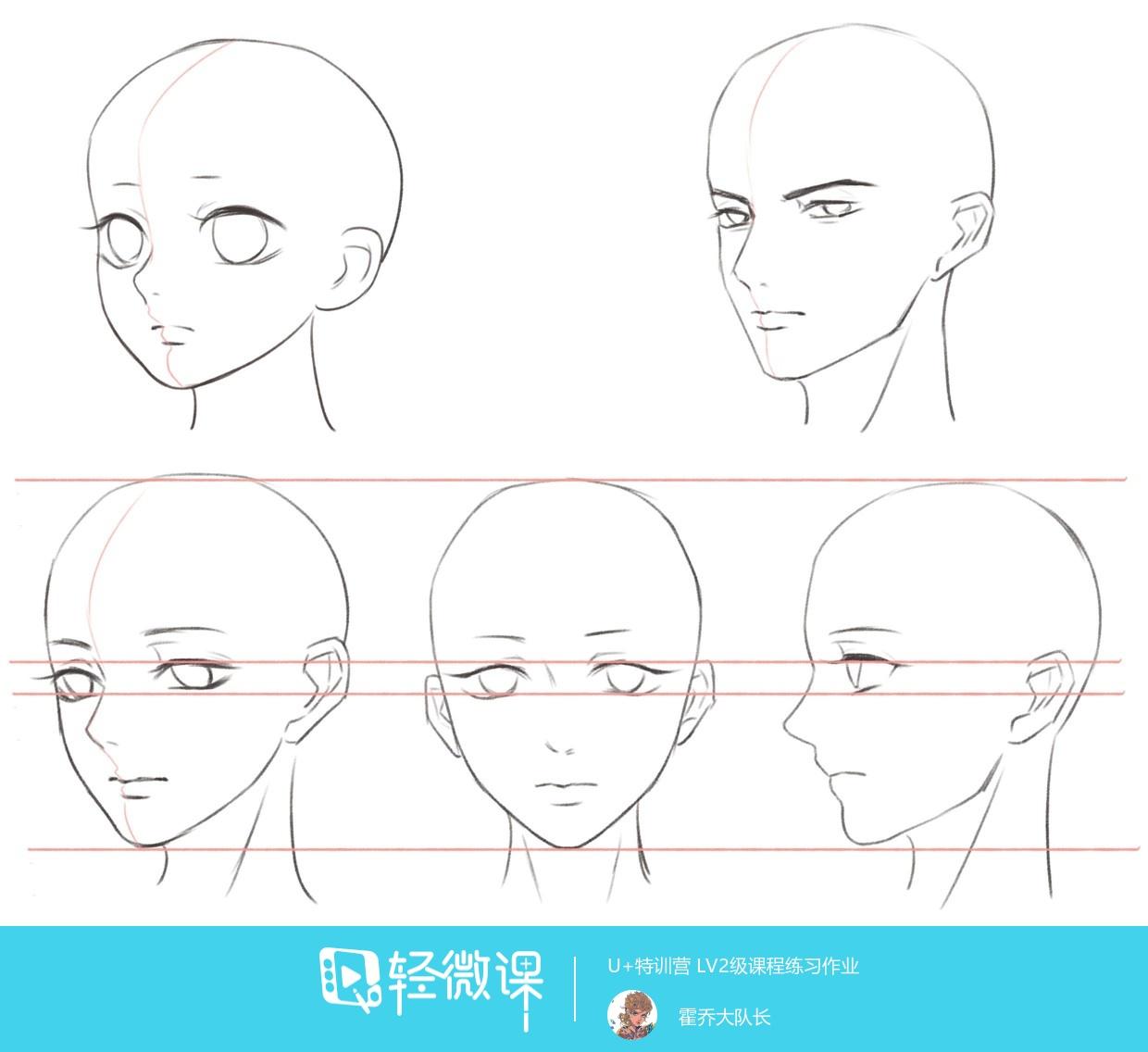 谁能介绍下头部透视五官透视的画法寻觅很久了