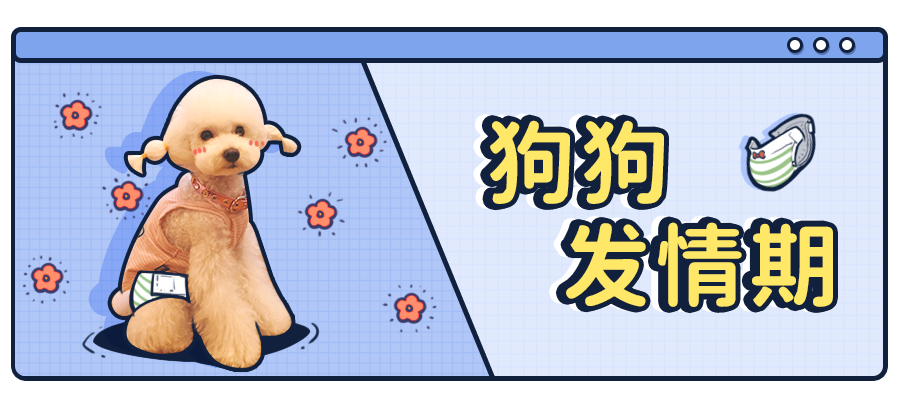 v2-bf7e1b62eb12bb221f390b2e9fcf188f_1440w.jpg?source=172ae18b