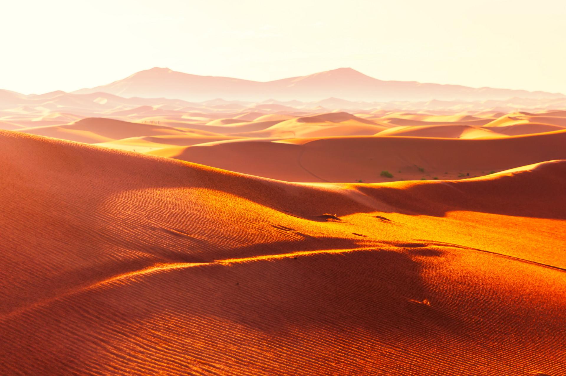 旅游时间去撒哈拉大沙漠旅行最好是在十月间或者四五月初