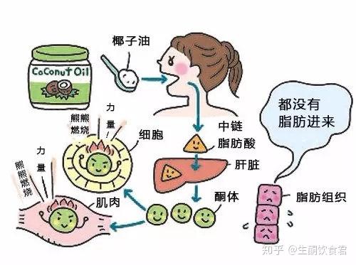 生酮饮食—如何检测酮体值 - 知乎