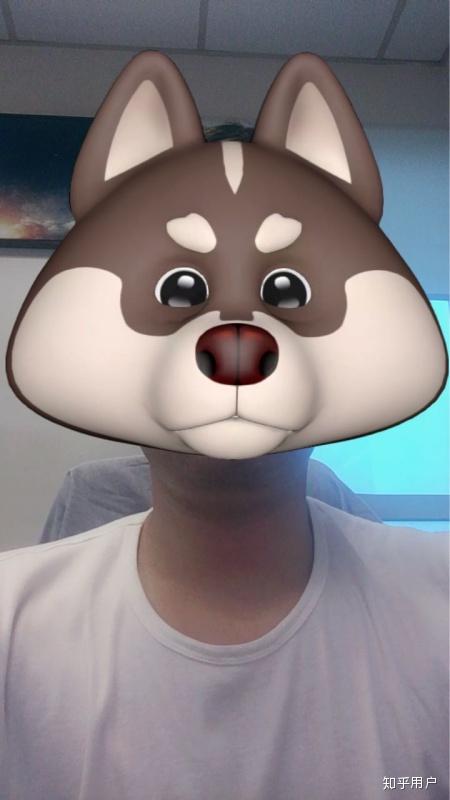 这个狗头p脸软件叫什么?