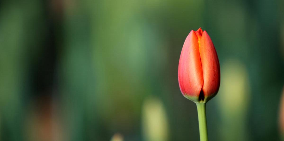 拥抱价值 静待花开 21年6月 知乎