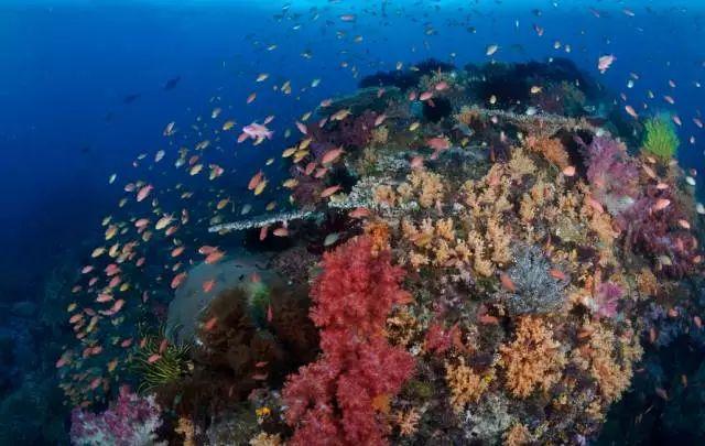 澳大利亚对中国护照免签?(附全世界59个对中国