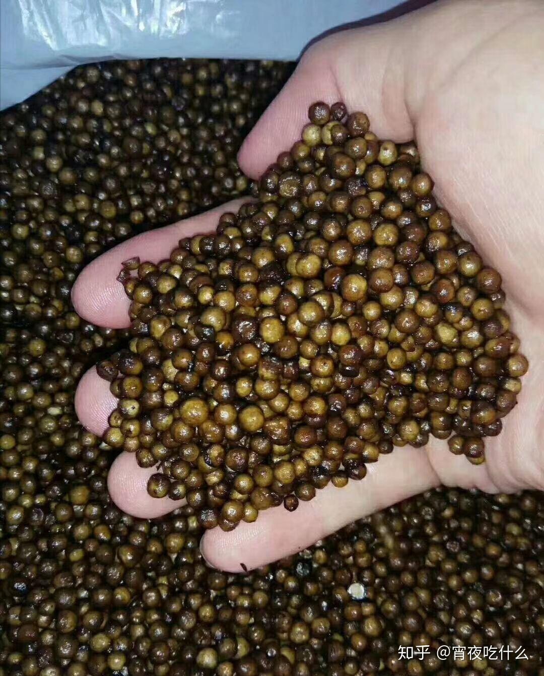 北海特产沙谷米