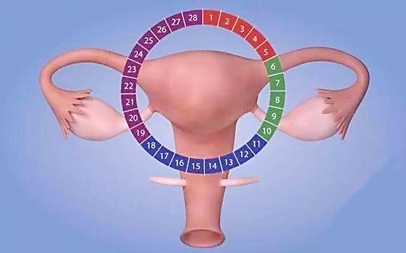 做了人工授精后要注意哪些事情 授精成功后的反应是什么 知乎