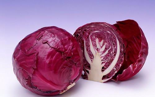 球花甘蓝的经典吃法 知乎