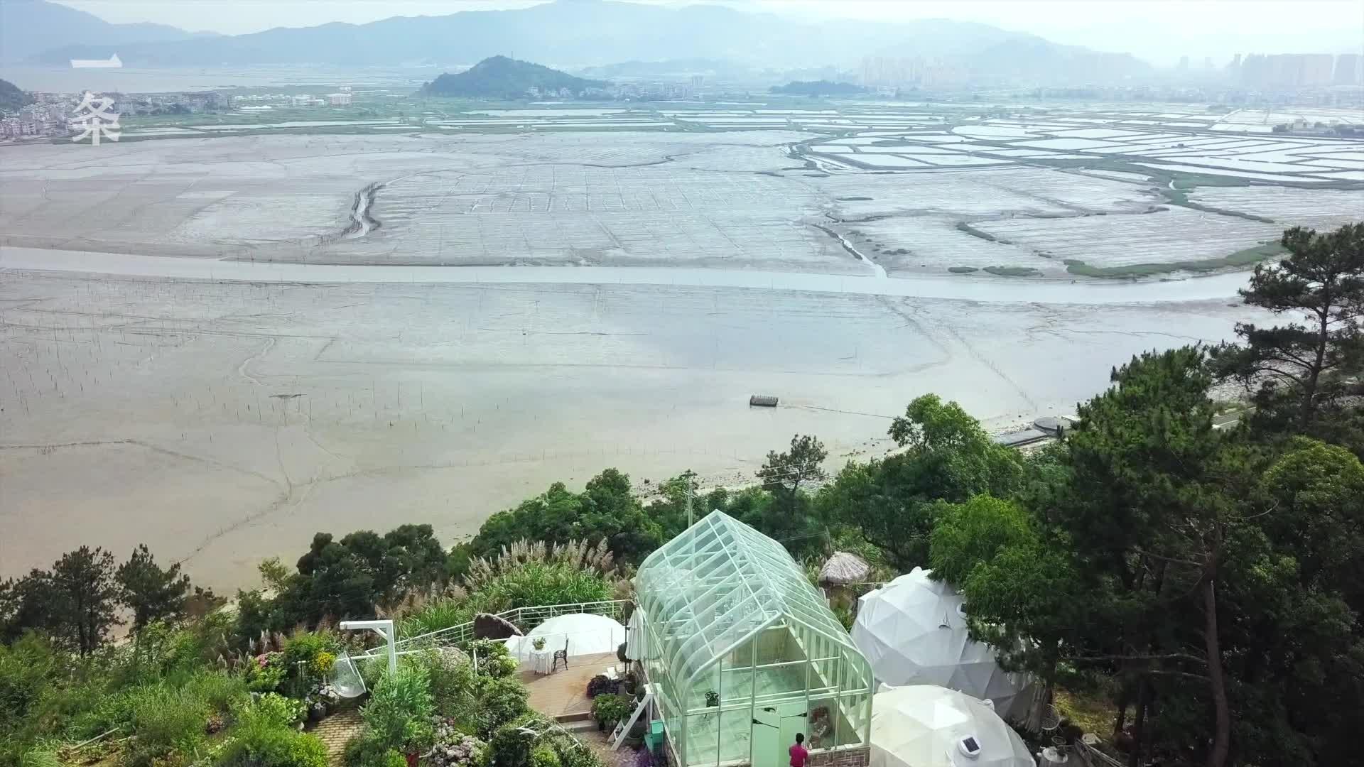 她40歲獨自在荒山造1500 花園 前半生給家庭 後半生給自己 中國熱點