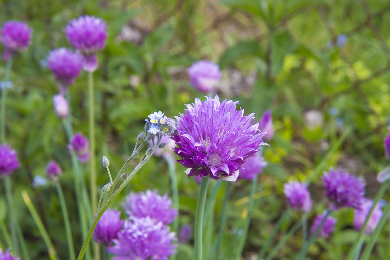 1. 房产投资攻略