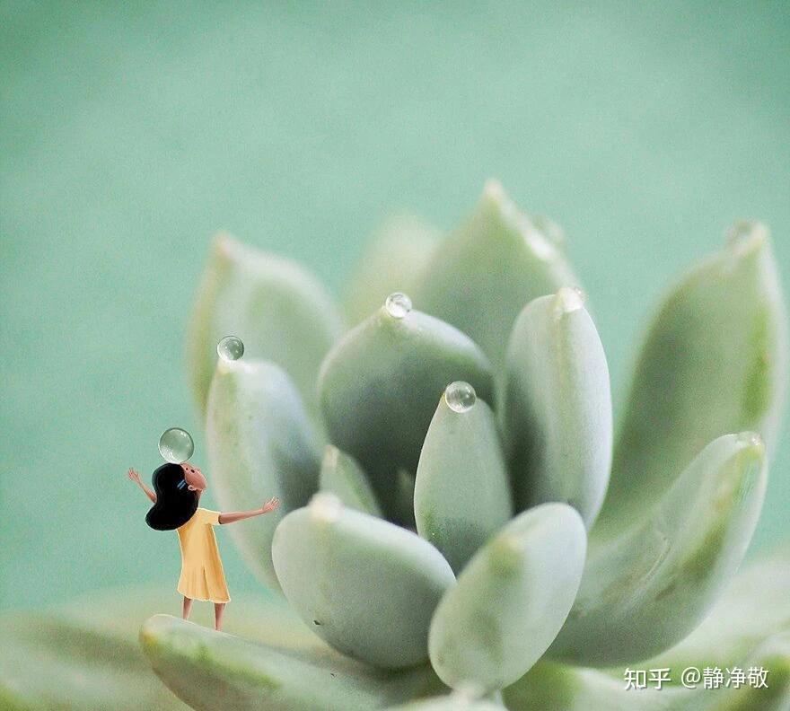 每天正能量 🍀晚安吉祥🍀 - 知乎