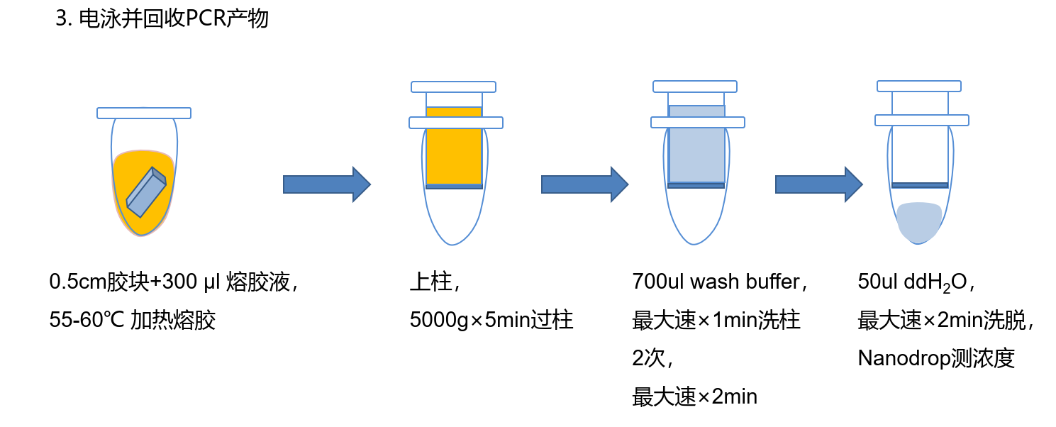 pcr目的基因純化50ul體系加50ul ddw100ul bindin