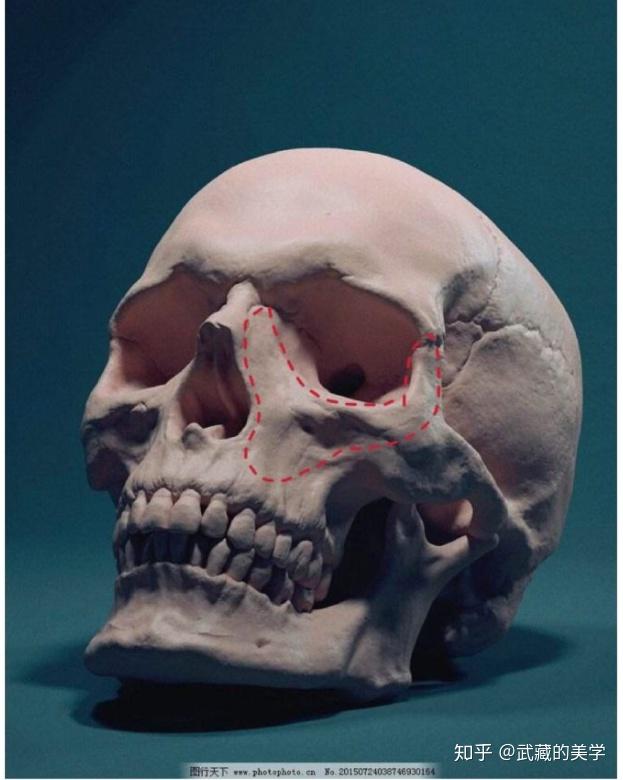 一篇粗制滥造的面中骨功课