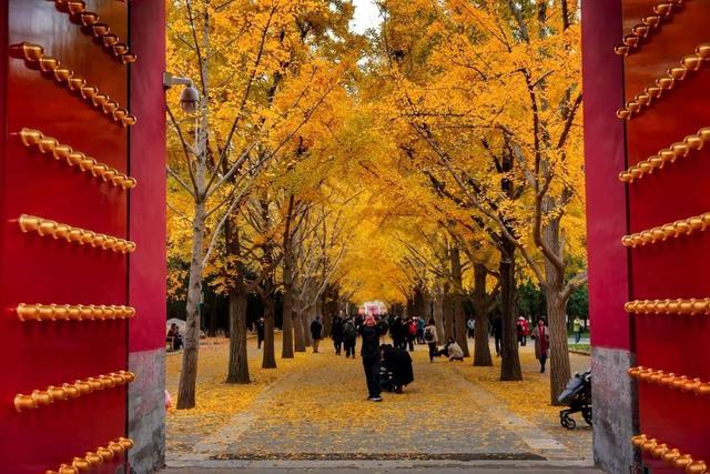 11月 我建议你一定要去一次北京 知乎 11月 我建议你一定要去一次北京 知乎