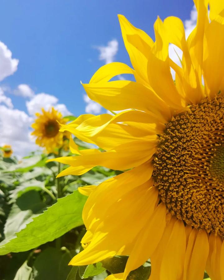 v2-bff67e3e56443a1e1a4090d0028de662_720w