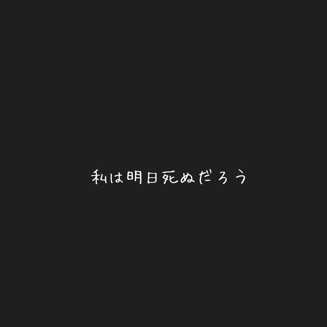 午时葵 知乎