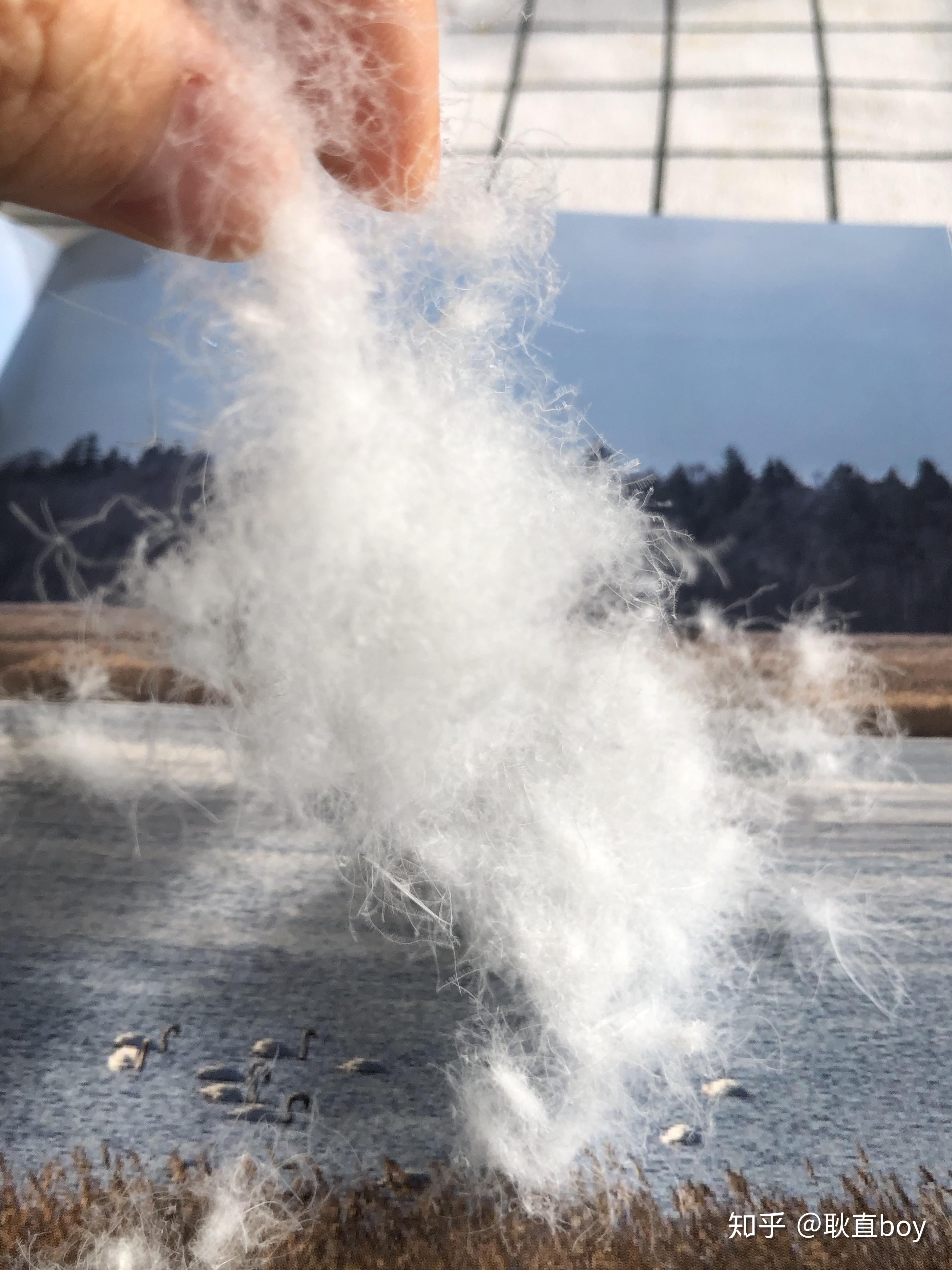 2019鹅绒被什么值得买:诗丹娜4a级加厚鹅绒冬被,2.