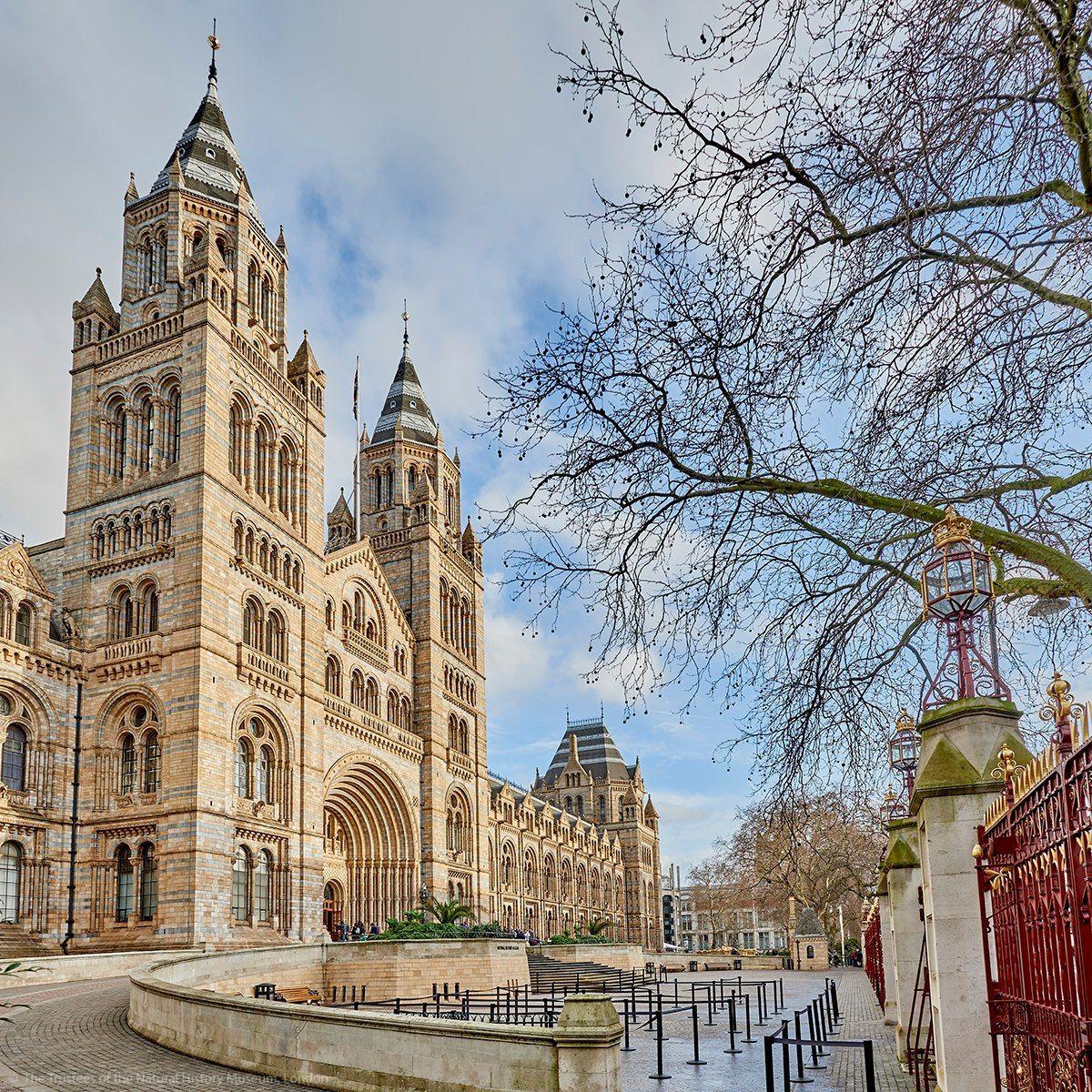 欧洲最大的自然历史博物馆,伦敦自然历史博物馆总建筑面积4万多平方米