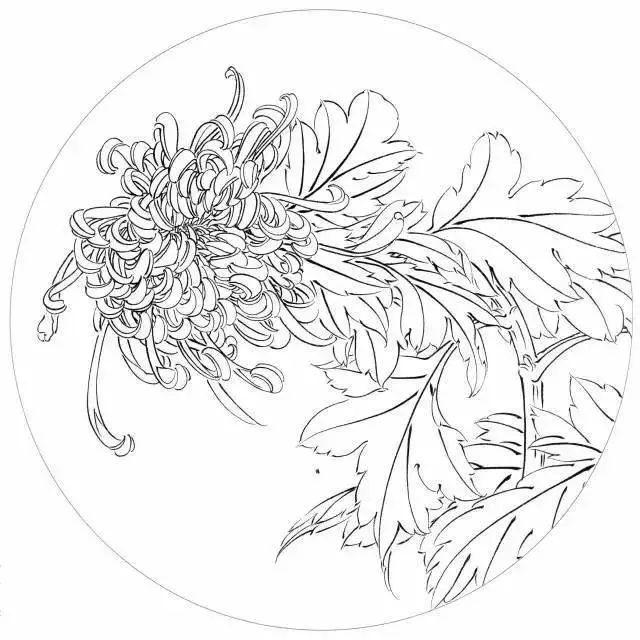 深大考研传统白描线条要求和图谱示例