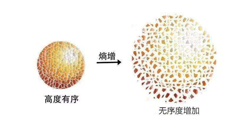 熵增定律,我的见解 - 知乎