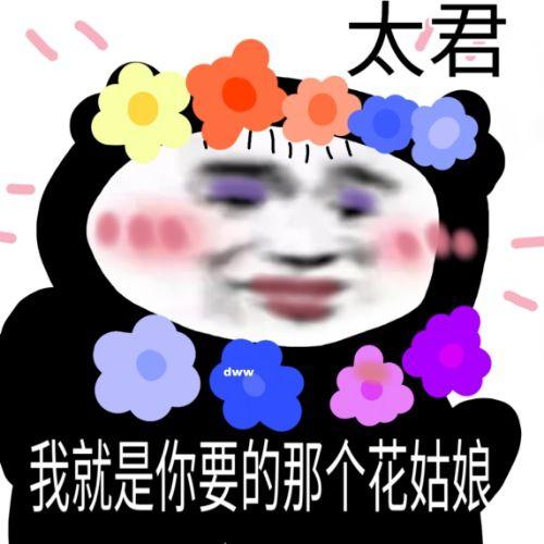 沙雕熊猫头 - 知乎