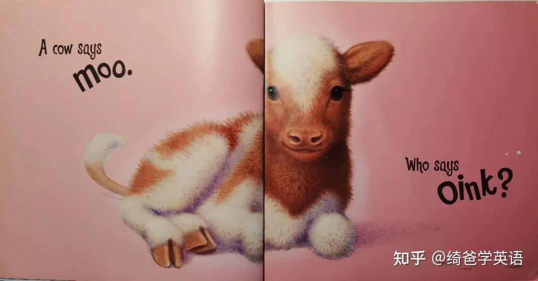 moo也是一個象聲詞.who says moo?誰會說moo?原來是小狗會說woof!