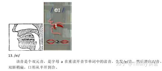 48个国际音标发音舌位图 - 知乎